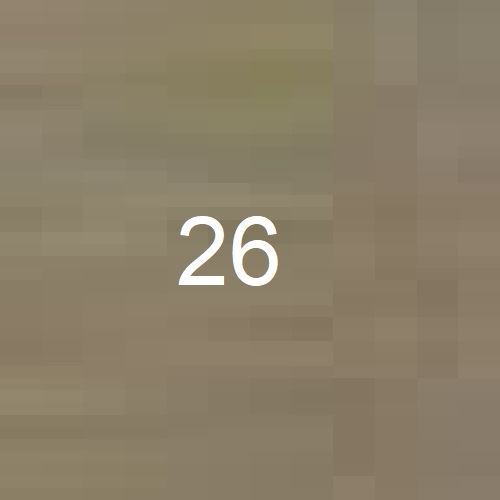 26