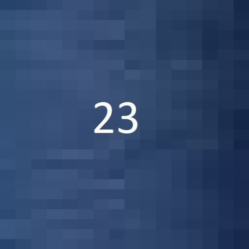 23