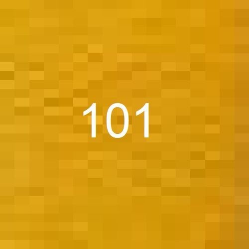 101