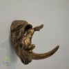 دیوارکوب کرگدن فایبر