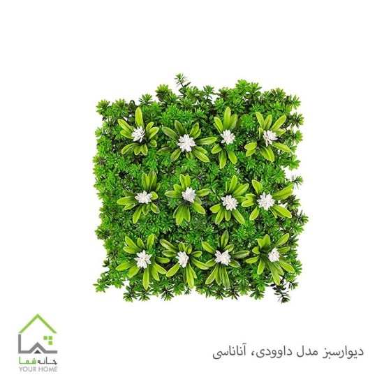تصویر دیوار سبز مدل داوودی،آناناسی