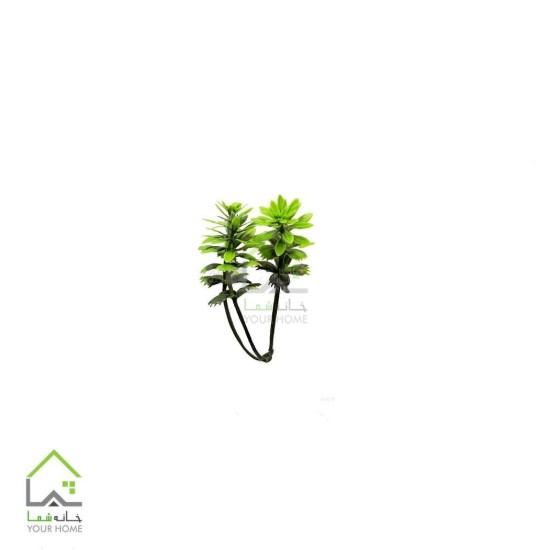 تصویر دیوار سبز مدل داوودی