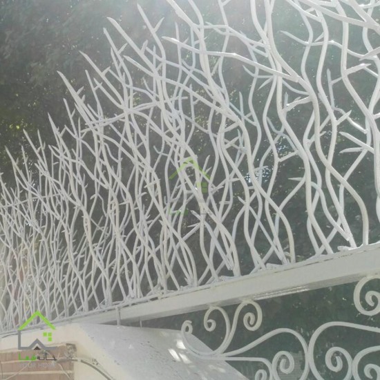 حفاظ شاخ گوزنی
