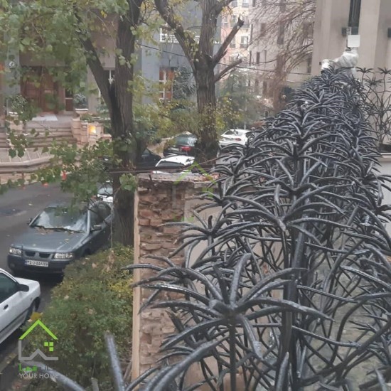 حفاظ دیوار مدل نخل مرداب
