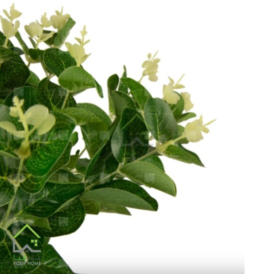 گیاه مصنوعی اکالیپتوس